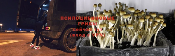 мет Белокуриха