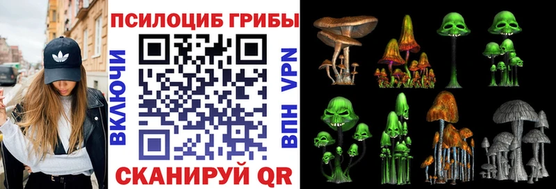ОМГ ОМГ сайт  Дальнегорск  Псилоцибиновые грибы MAGIC MUSHROOMS 
